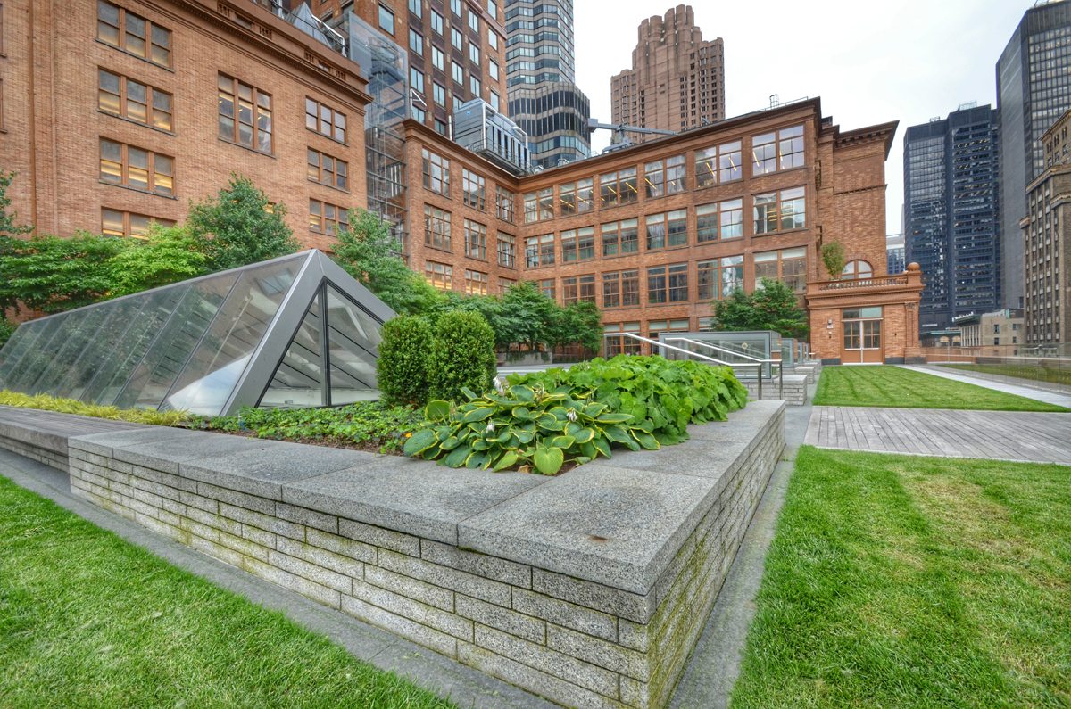 Weill Terrace at Carnegie Hall Green Roof by Sponzilli