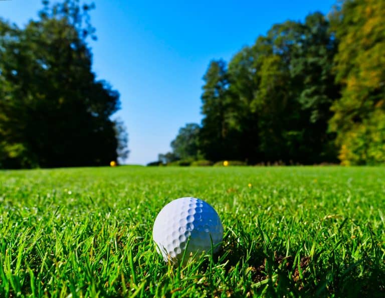 Golfers Can Save the World By Switching to Biodegradable Golf Balls!