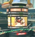 Twintelle's cameo on Spring Stadium.