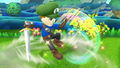 Reversal Slash in for Wii U.