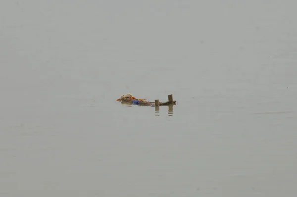 Garbage dump in a Water