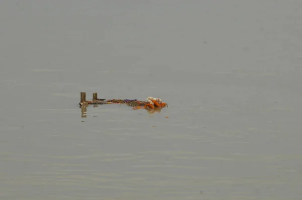 Garbage dump in a Water