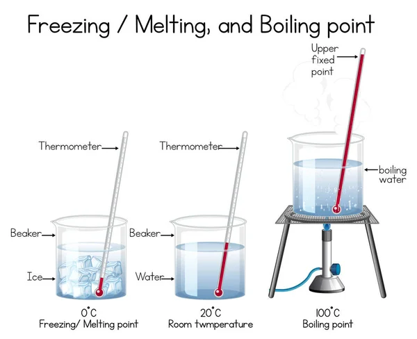 Heat Transfer Methods Water Boiling Illustration Stock Vector by ...