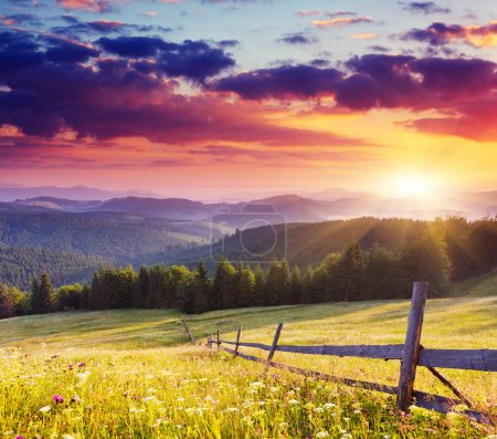 Foto de Majestuoso atardecer en el paisaje montañoso.Cárpatos, Ucrania
. - Imagen libre de derechos