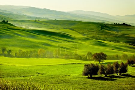 Foto de Campo, San Quirico Orcia, Toscana, Italia - Imagen libre de derechos