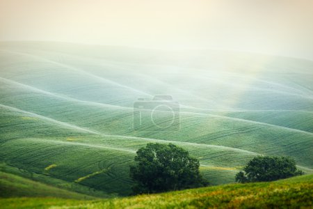 Foto de Paisaje rural en la región de Toscana de Italia - Imagen libre de derechos