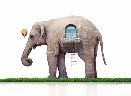 Foto de Elefante como una casa. concepto creativo - Imagen libre de derechos