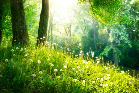 Foto de Naturaleza de primavera. Hermoso paisaje. Hierba verde y árboles - Imagen libre de derechos