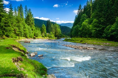 Foto de Paisaje con árboles de montaña y un río en frente - Imagen libre de derechos