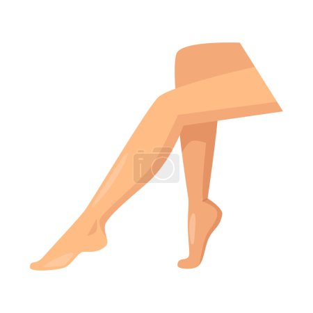 Illustration for Isolated object of leg and lady icon. Collection of leg and pinup stock vector illustration. - Royalty Free Image