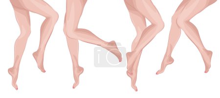 Illustration for Vector beautiful woman legs - Royalty Free Image