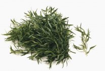 Heap of fresh tarragon leaves — Stock Photo