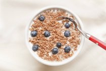 Bowl of cold cereal with milk — Stock Photo