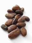 Raw Cocoa beans — Stock Photo