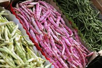 Fresh beans in boxes — Stock Photo