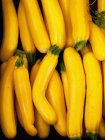 Fresh Yellow courgettes — Stock Photo