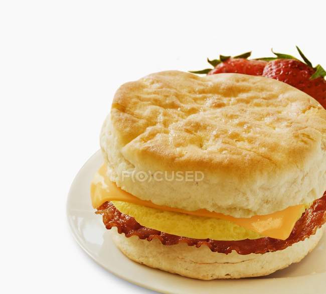 Sausage Egg and Cheese Sandwich — Stock Photo