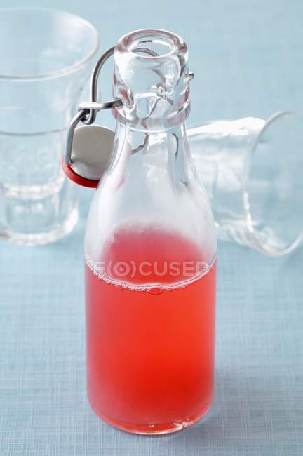 Bottle of rhubarb cordial — Stock Photo