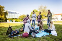 Friends enjoying picnic — Stock Photo