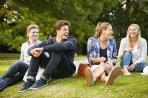 Cheerful friends enjoying at park — Stock Photo