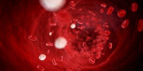 Bloodstream showing red blood cells — Stock Photo