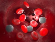 Red blood cells in the bloodstream — Stock Photo