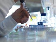 Scientist pipetting samples into test tubes in laboratory. — Stock Photo