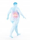 Walking obese male silhouette with visible back pain, digital illustration. — Stock Photo