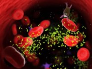 Bacteria amidst blood cells in blood vessel, digital illustration. — Stock Photo