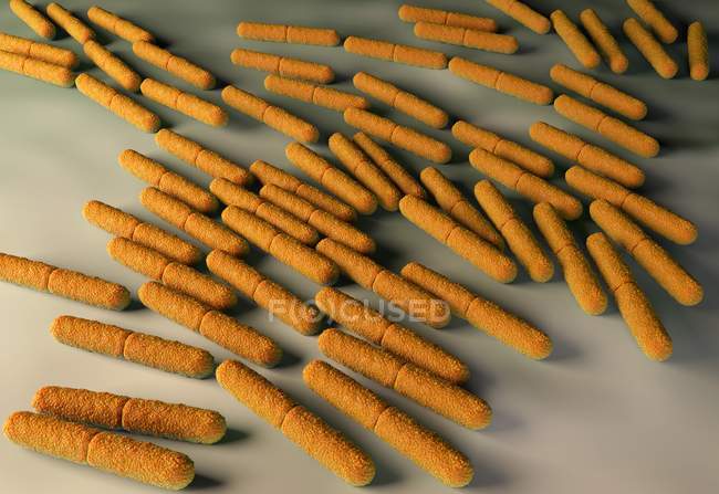 Clostridium botulinum bacteria — Stock Photo