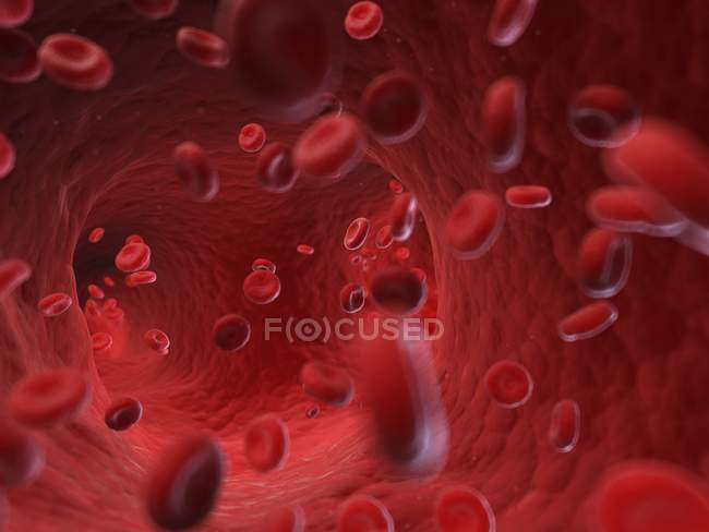 Illustration of human blood cells in blood stream. — Stock Photo