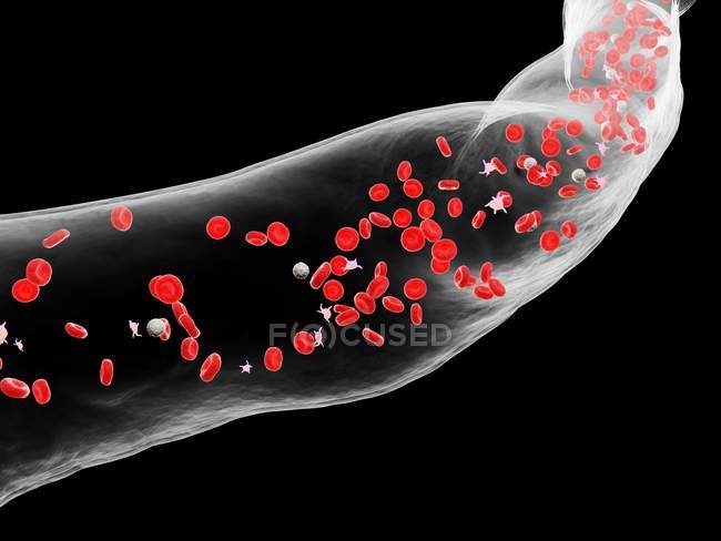 Abstract blood vessel with white and red blood cells, digital illustration. — Stock Photo