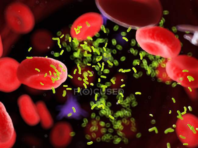 Bacteria amidst blood cells in blood vessel, digital illustration. — Stock Photo