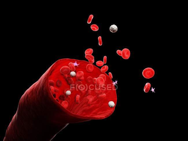 Abstract blood vessel with white and red blood cells, digital illustration. — Stock Photo