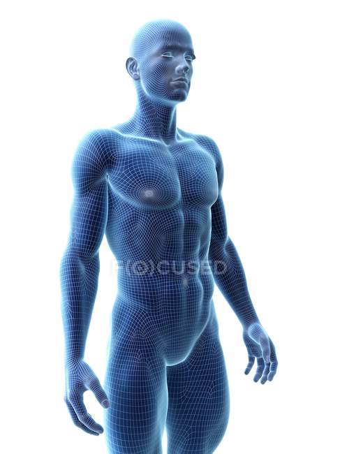 Abstract silhouette of muscular man, digital illustration. — Stock Photo