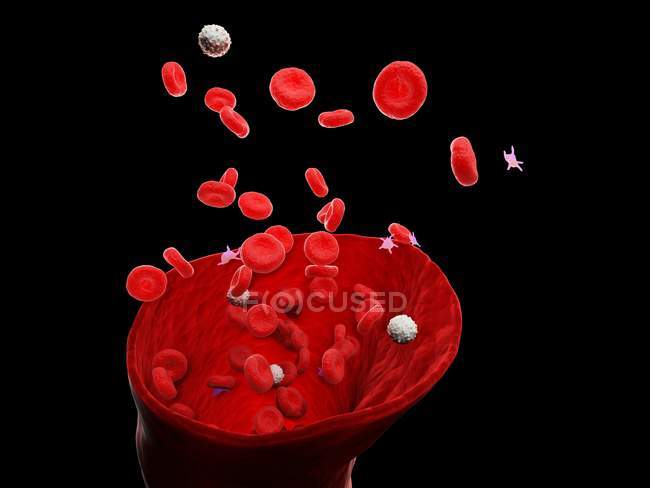 Abstract blood vessel with white and red blood cells, digital illustration. — Stock Photo