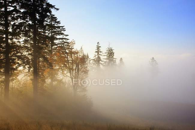 Happy Valley, Oregon — Stock Photo