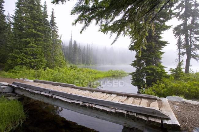 Mount Rainier National Park — Stock Photo