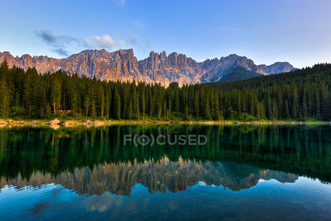 Pineta che si riflette nel lago — Foto stock