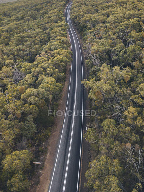 Winding road through lush forest at the Grampians National Park, Victoria, Australia. — Stock Photo