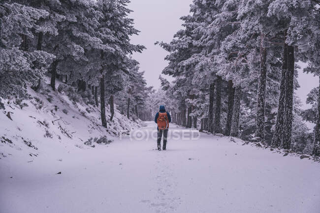 Young man walking on snow covered trail during a snowstorm in Sierra de Guadarrama, Madrid, Spain — Stock Photo