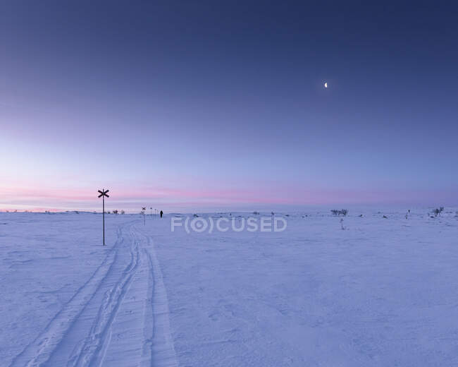 Woman cross-country skiing at sunset in Rogen Nature Reserve, Sweden — Stock Photo