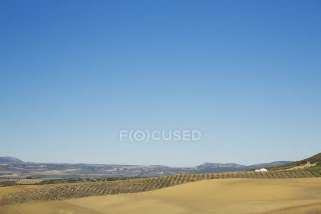 Rural landscape under blue sky — Stock Photo