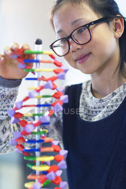 Girl student examining DNA model in classroom — Stock Photo