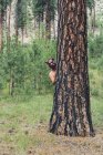 Man in bear mask peering around trunk of Ponderosa pine tree in woodland. — Stock Photo