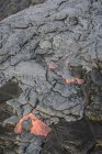 Molten lava glowing near dried lava on rocks of Big Island, Hawaii, USA — Stock Photo