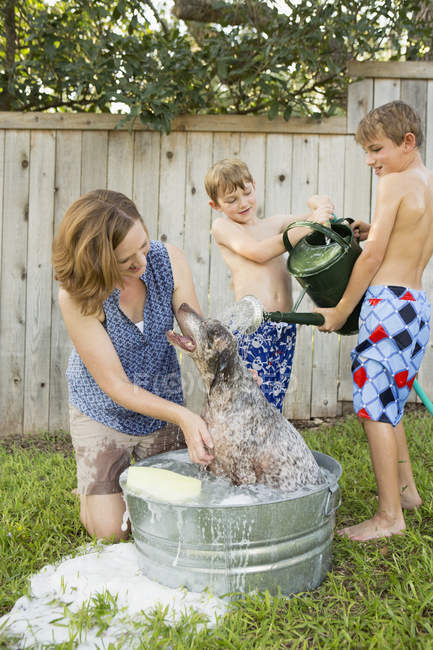 Family washing dog in tub — Stock Photo