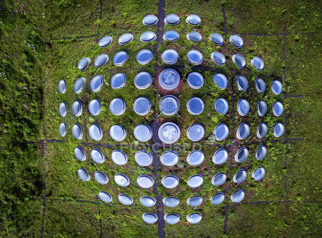 High angle view of round windows of grassy living roof. — Stock Photo