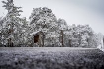 Snowy landscape of Madrid — Stock Photo