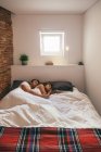 Young Couple Sleeping in Bed — Stock Photo